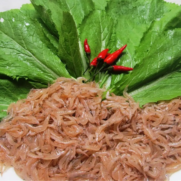 Con ruốc biển giá sỉ 