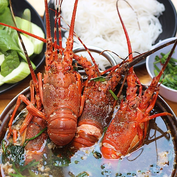 tôm hùm Úc giá sỉ