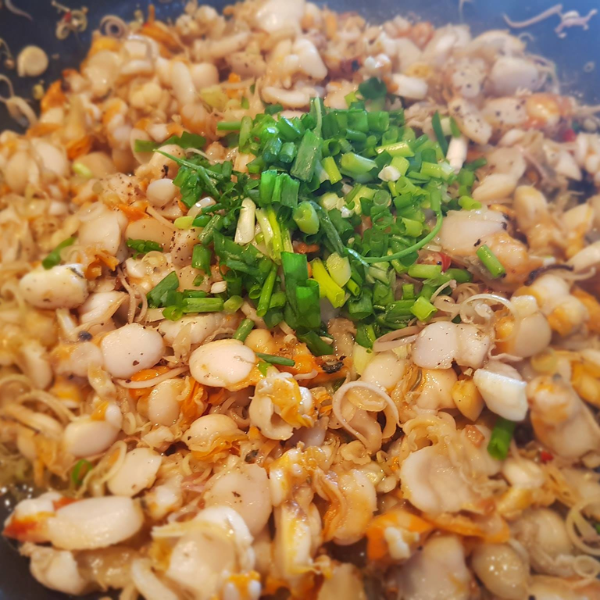 Cồi sò trai giá sỉ