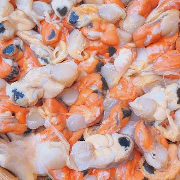 Cồi sò trai giá sỉ