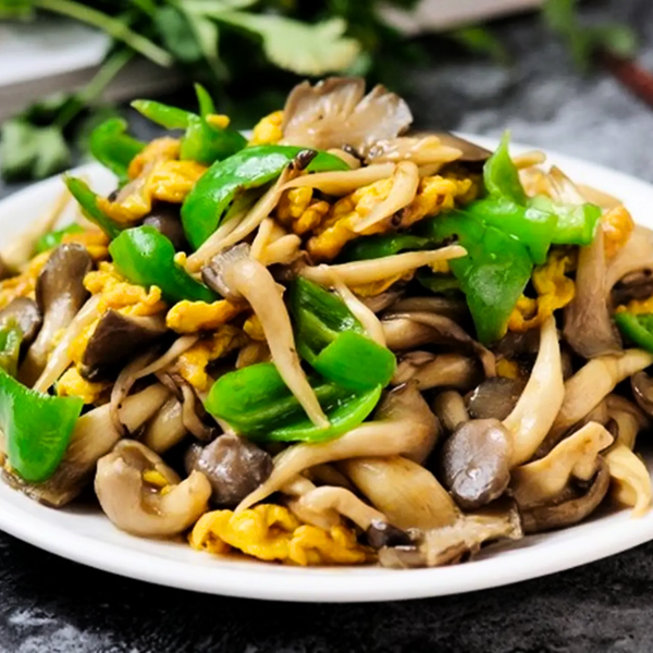 Tu hài giá sỉ
