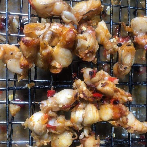Cồi sò trai giá sỉ